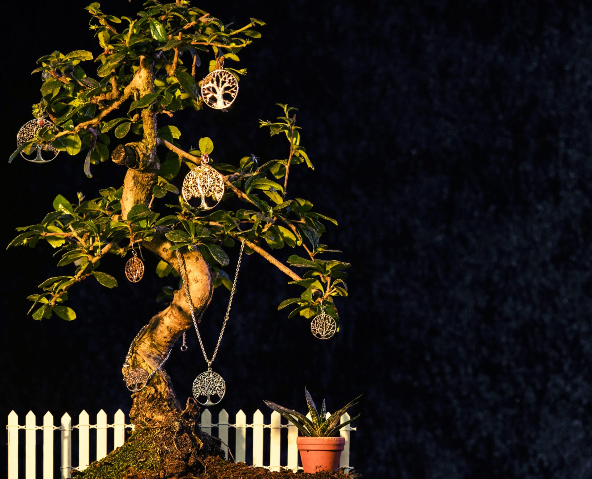 Produktbild von Lebensbaum-Anhängern an einem Bonsaibaum mit einem kleinen Zaun im Hintergrund und einer weiteren Pflanze